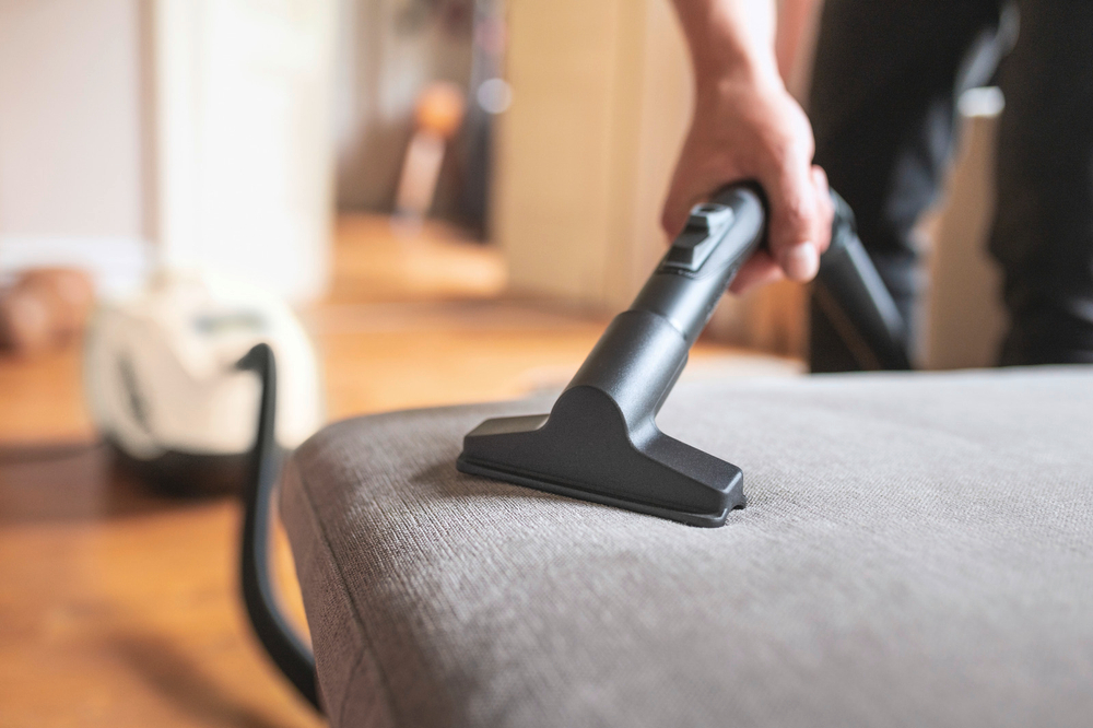 Пылесос с аквафильтром DS 6 Plus Anniversary Edition