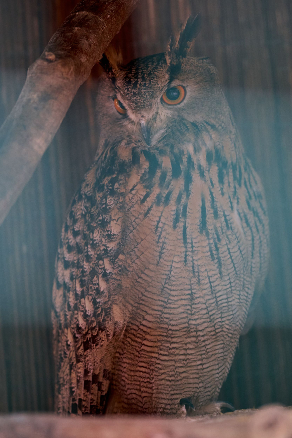 Праздник в стиле Гжель