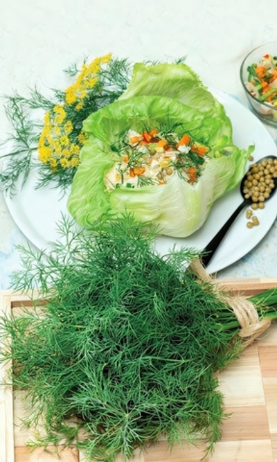 Семена Укроп Изумрудный узор - кустовой 1,5гр (УД) Е/П