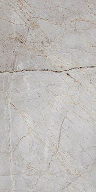 Керамогранит Silver Root Полированный