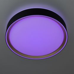 Citilux BOSS CL751251G LED RGB Светильник с пультом Чёрный с Золотом