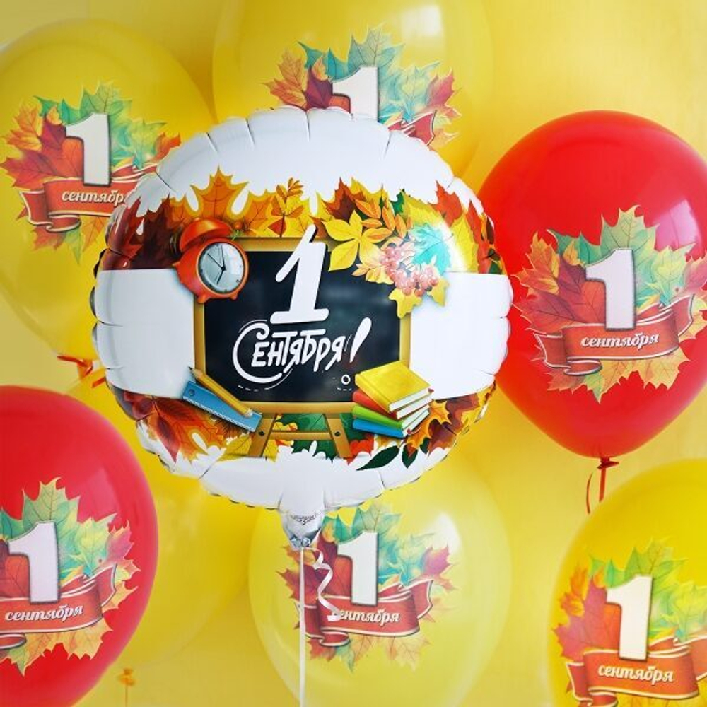 Шары на 1 сентября 31 шт