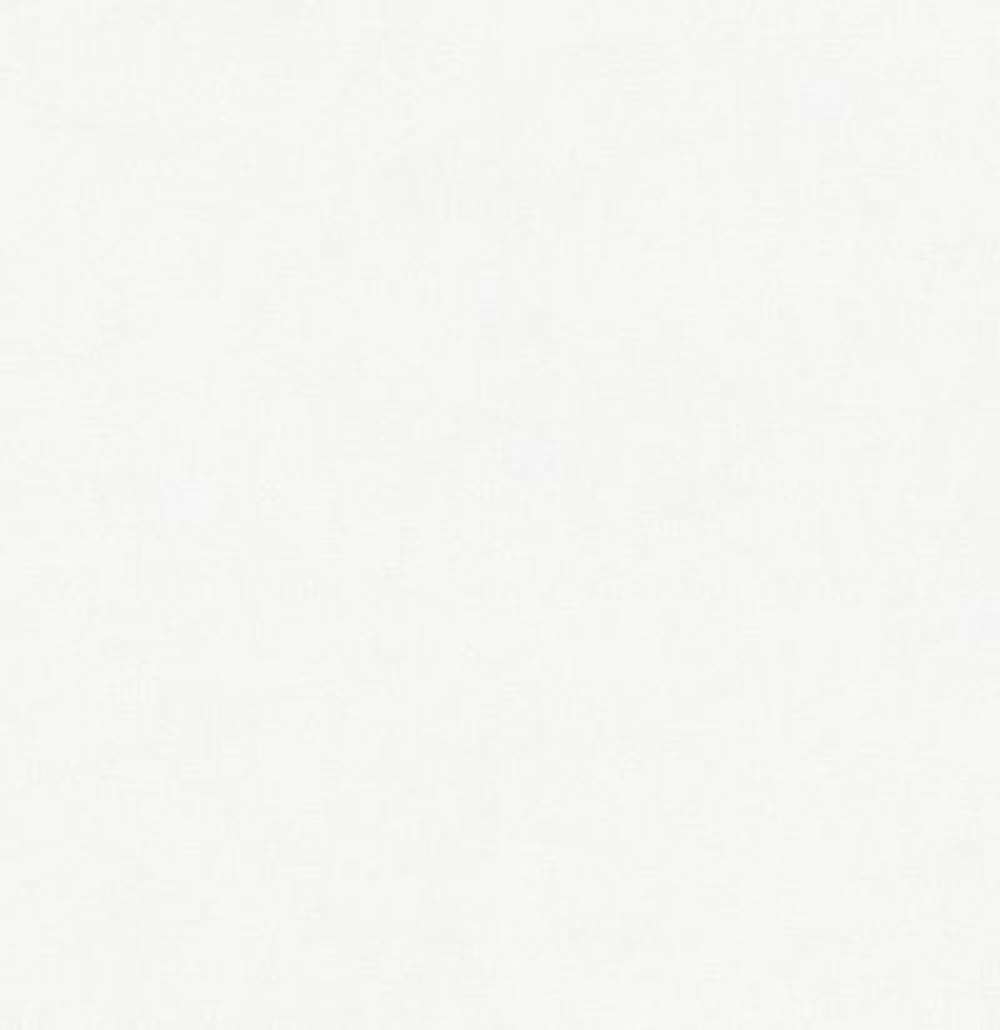 Обои однотонные флизелиновые PRO306