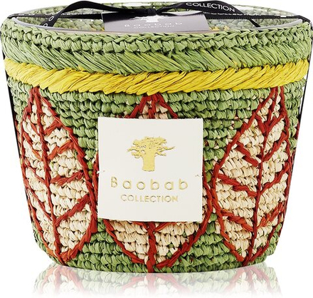 Baobab Collection Ravintsara Ravina - ароматическая свеча /  10 cm   / GTIN 5415198486553