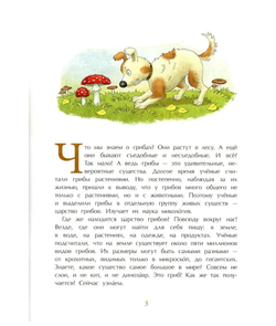 Грибное царство