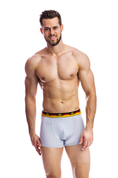 Мужские трусы BB33 Серый Uniconf