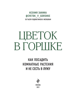 Цветок в горшке. Как посадить комнатные растения и не сесть в лужу