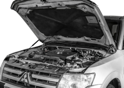 Газовые упоры капота АвтоУпор для Mitsubishi Pajero IV 2006-2020, 2 шт., UMIPAJ012
