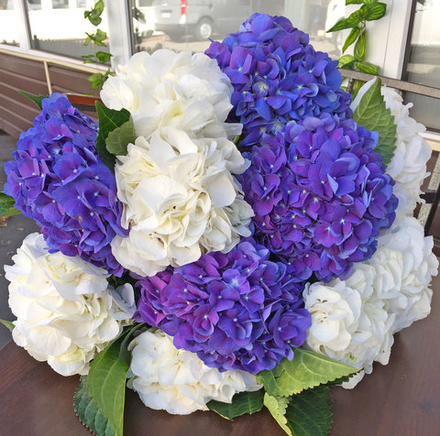 Букет гортензий "Воздушный поцелуй"