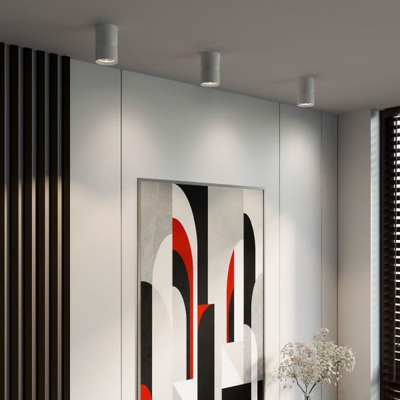 Потолочный светодиодный светильник Elektrostandard Kayo 25049/LED 12W 4000К белый a064730