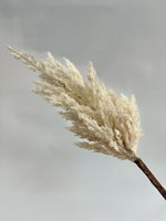 Пампасная трава 90 см, белая
