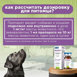 Раствор для инъекций для предотвращения рвоты различного генеза у кошек и собак Фалена (Okvet), 10мл Маропитант