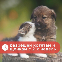 Сироп от гельминтов для кошек, собак, котят и щенков Гельминтал Мини (Neoterica), 10мл. Толтразурил/ Моксидектин