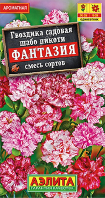 Гвоздика Фантазия, смесь сортов