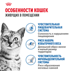 Корм консервированный Royal Canin полнорационный для взрослых кастрированных и стерилизованных кошек, живущих в помещении INDOOR STERILISED (ИНДОР СТЕРИЛАЙЗД), кусочки в соусе - 85 гр
