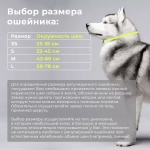 Облегченный ошейник серии "Этно" (20 мм)