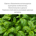 Свечи восковые зеленые с базиликом, для ритуалов на благополучие - 20 штук