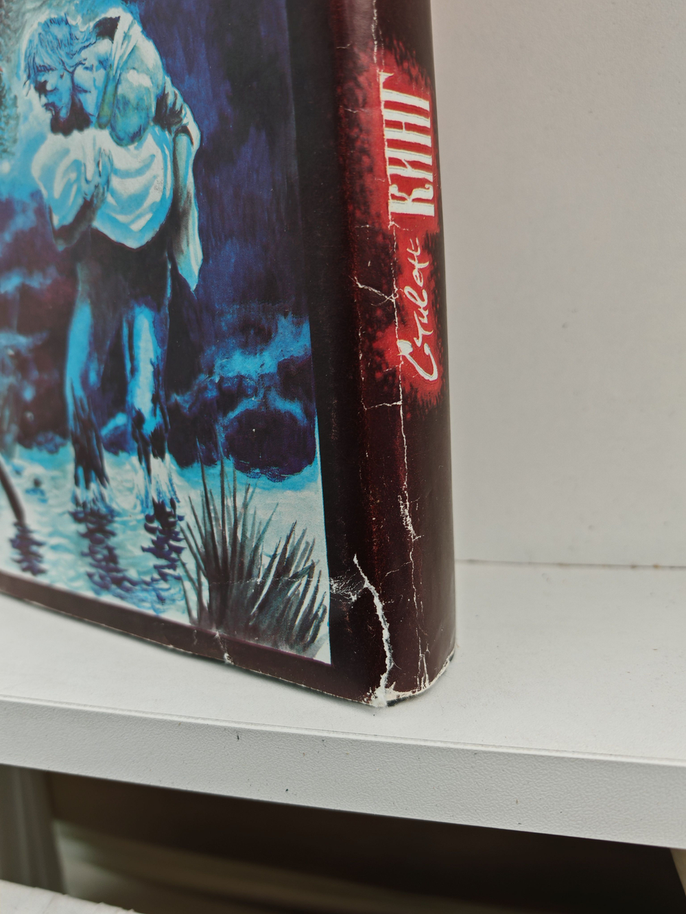 Худей! Жребий Иерусалима. Кладбище домашних любимцев