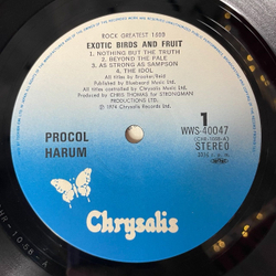 Винтажная виниловая пластинка LP Procol Harum Exotic Birds And Fruit (Japan 1977) (Obi) As Strong As Samson