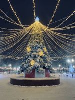 Светодинамическая елка ствольная - встроенная гирлянда: Теплый свет - "Таежная" от 11 до 21 м