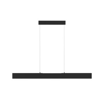 Подвесной светильник Technical P010PL-L30B