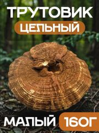 Трутовик плоский цельный (малый) 160г.