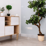 Плинтус Alpine Floor Rico Concept 80 RC 80201 Ясень Норд