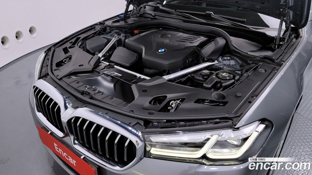 BMW 5 Series (G30) 530i Luxury (01.2023)