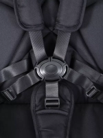 Коляска 2 в 1 Rant Flex Soft Therm, Midnight Black