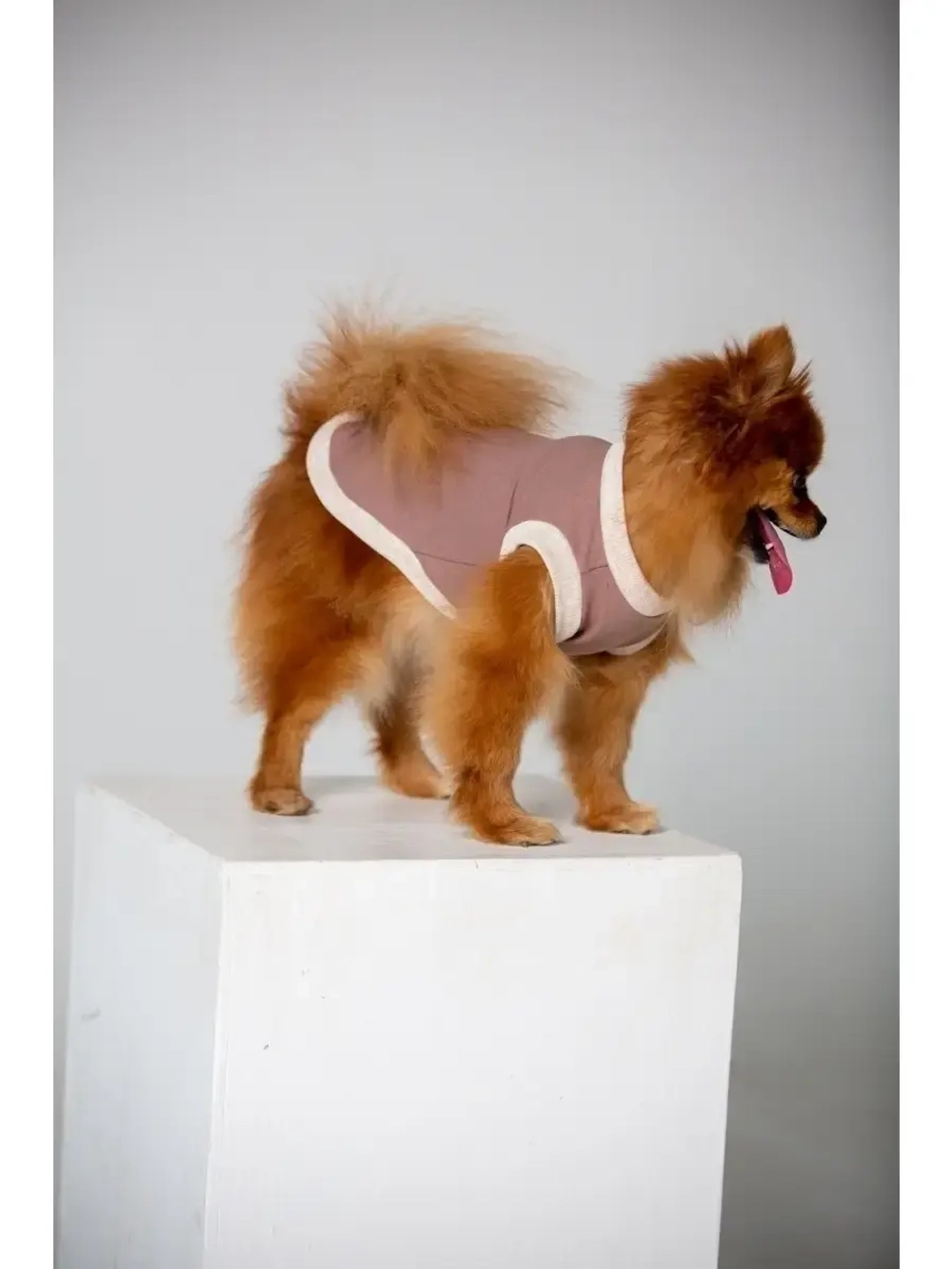 Майка для собак и кошек