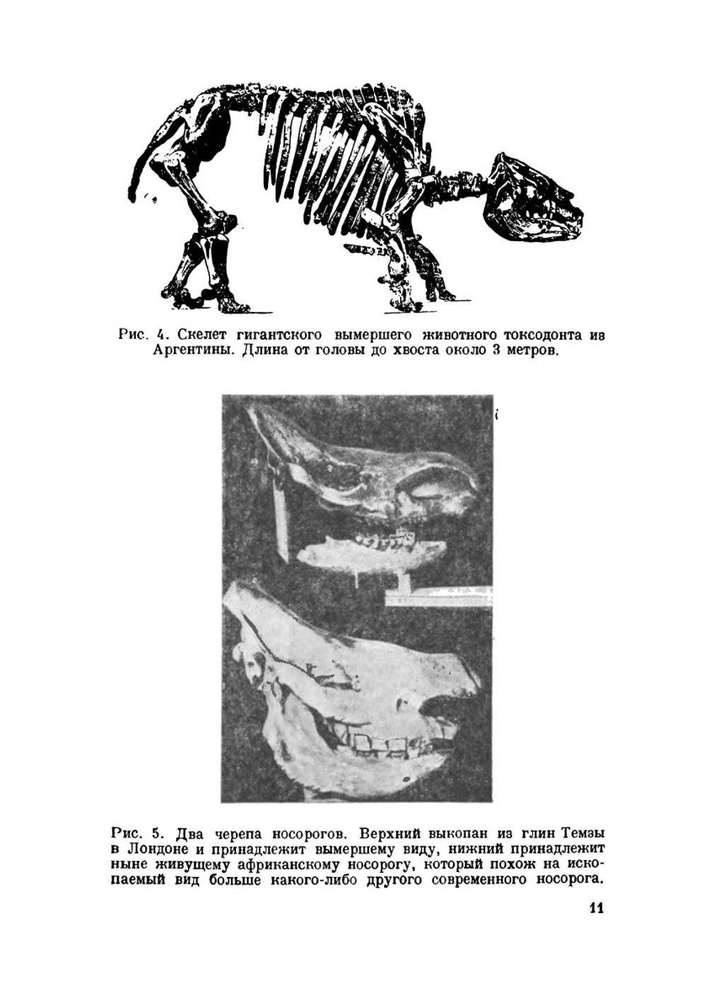 Вымершие животные | Р. Э. Ланкестер