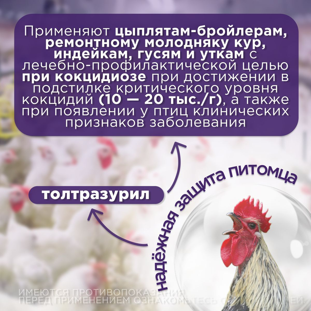 Суспензия сельско-хозяйственных птиц для лечения и профилактики кокцидиозов Аписенна СТОП-КОКЦИД 2,5% 100мл, Толтразурил 25мг
