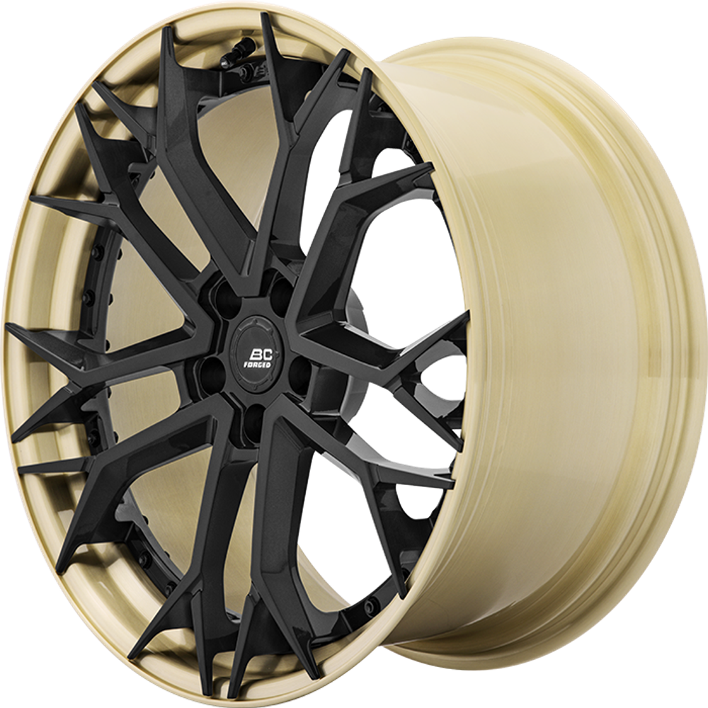 RP FORGED HCA193S
