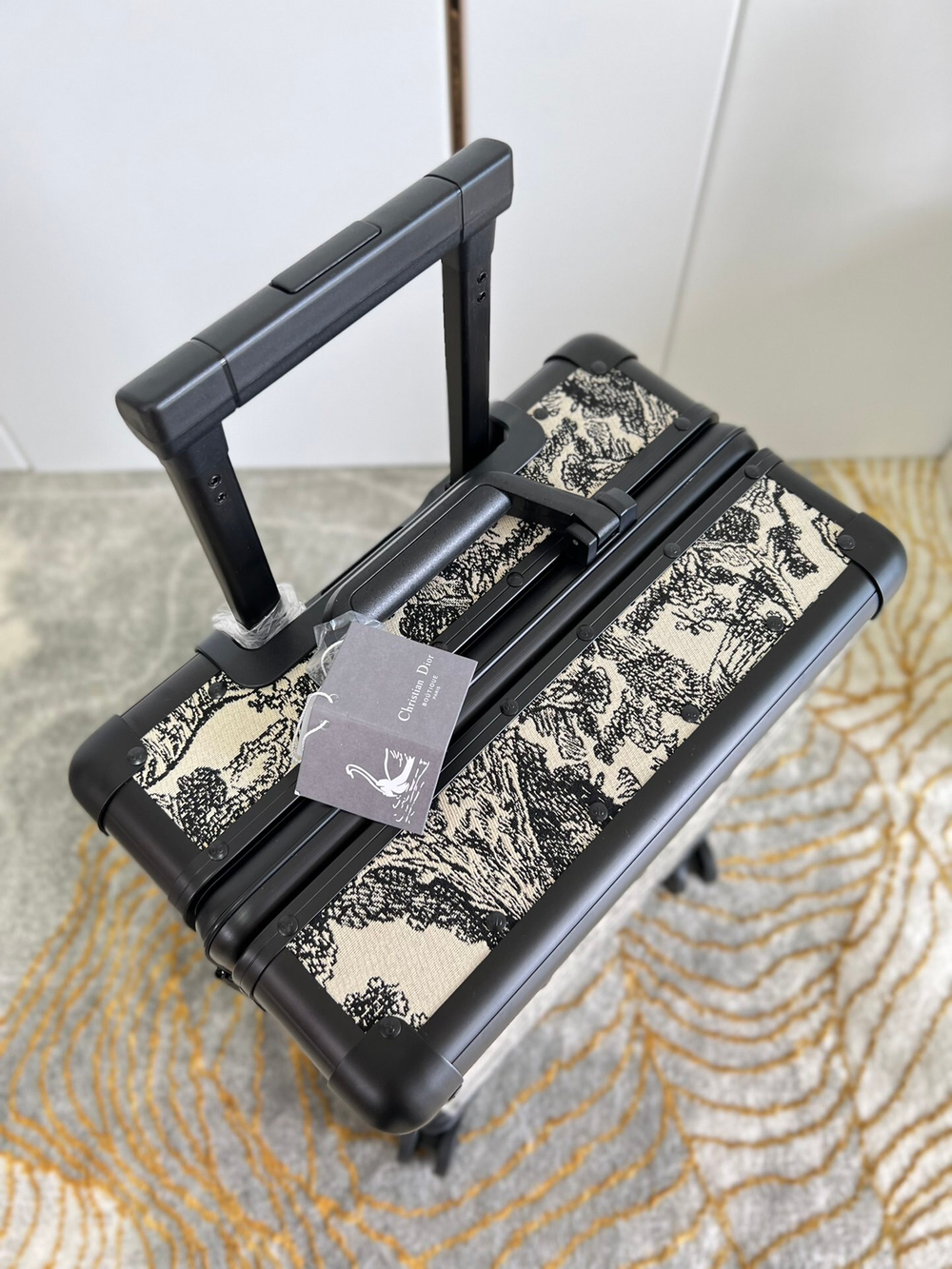 Christian Dior Travel Suitcase