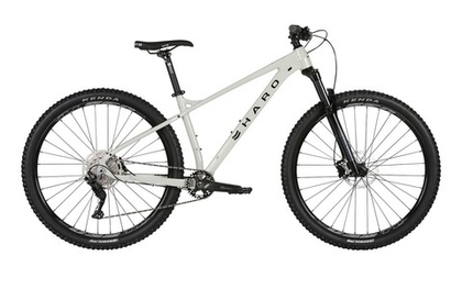 Горный велосипед Haro Double Peak 29 Comp (2021)