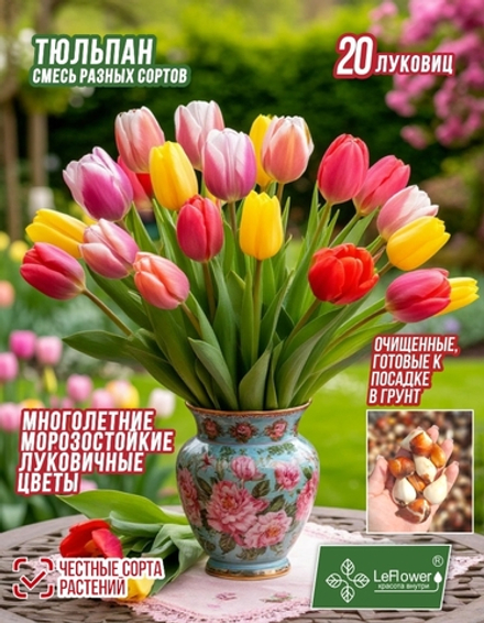 Тюльпан Луковица, Микс сортов 20 шт