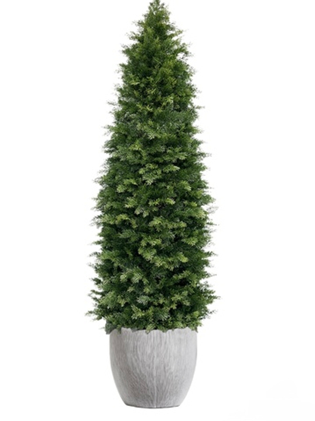 Комплект - Туя 210 см в кашпо TREEZ Effectory - WOW