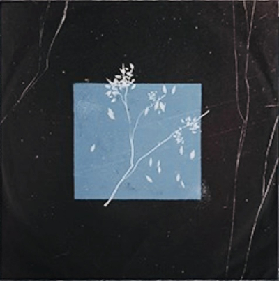 Bird Bone - Лейтмотив