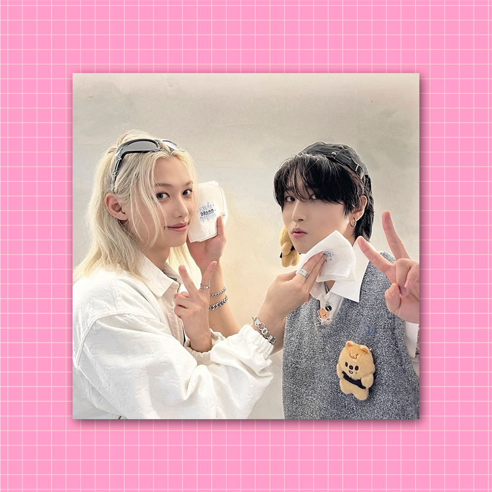 Плюшка / Стикер #15 / STRAY KIDS