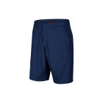 Шорты Jordan Logo, 914421-414