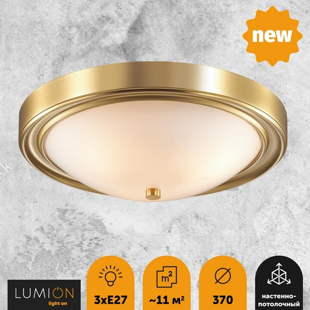 Накладной светильник Lumion 5259/3C