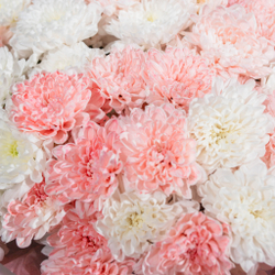 Букет персиковый гигант в круглом оформлении