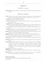 Centuria plantarum rariorum Russiae meridionalis Ф.К. Биберштейна глазами молодых исследователей "Сириуса" через 200 лет