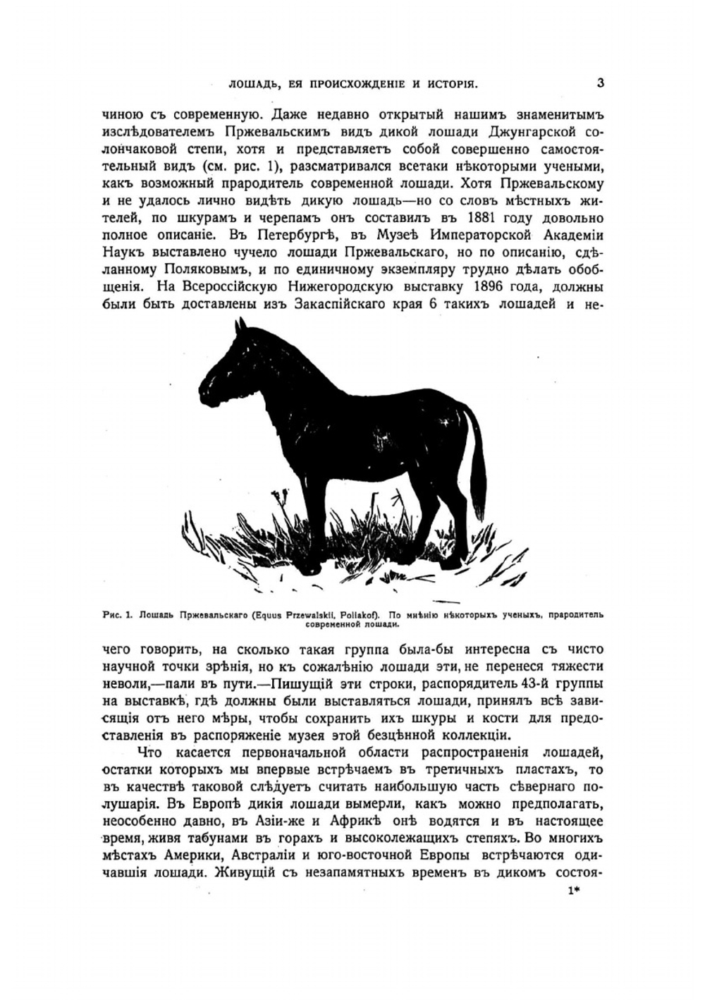 Книга о лошади. Том 1 | Урусов Сергей Петрович