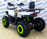 Квадроцикл Avantis Hunter 200 NEW Lux (баланс. вал) 2023 (A1)
