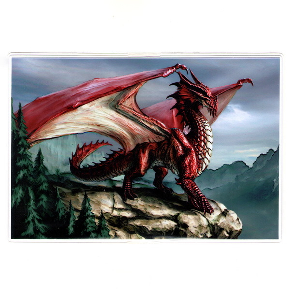 Обложка Дракон в горах (310)