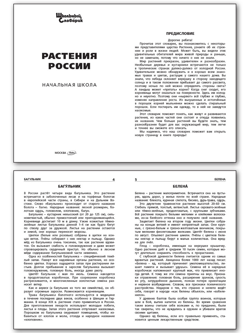 Книга "Растения России" Васильева Н.Ю., 1 класс, школьный словарик, офсетная печать