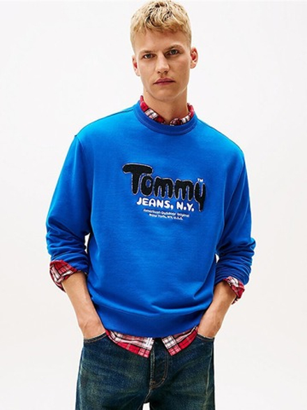 Толстовка мужская TOMMY JEANS TJM RLX BOUCLE FNT P