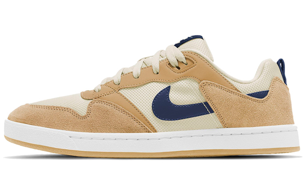 Кроссовки Nike Sb Alleyoop