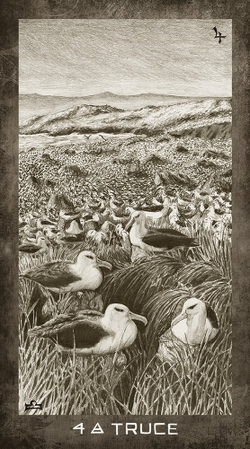 New Era Elements Tarot / Таро Элементы Новой Эры